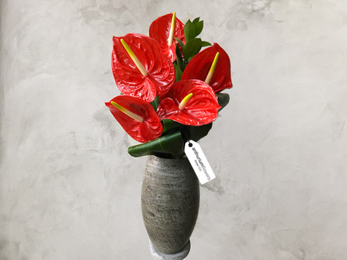 Buchet 5 Anthurium rosu